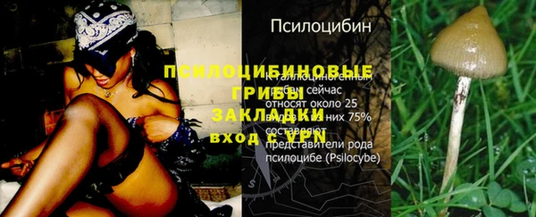 стаф Балабаново