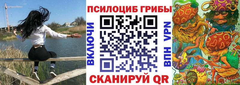 Галлюциногенные грибы Psilocybine cubensis  Бугульма 